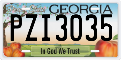 GA license plate PZI3035