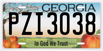 GA license plate PZI3038
