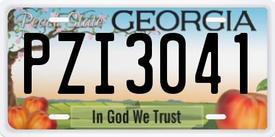 GA license plate PZI3041