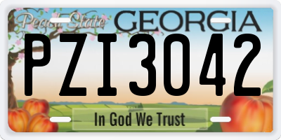 GA license plate PZI3042