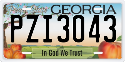 GA license plate PZI3043