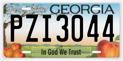 GA license plate PZI3044