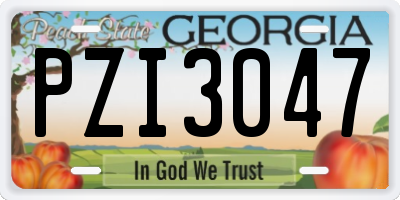 GA license plate PZI3047