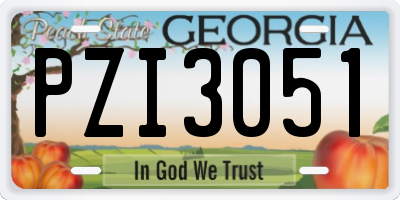 GA license plate PZI3051