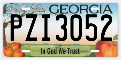 GA license plate PZI3052