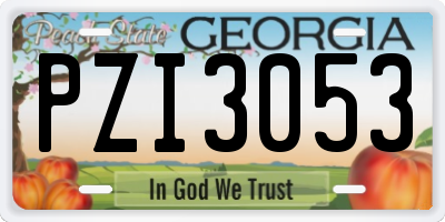 GA license plate PZI3053