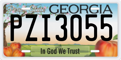GA license plate PZI3055