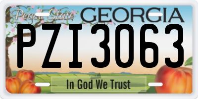GA license plate PZI3063
