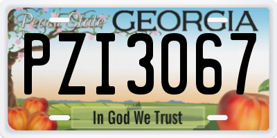 GA license plate PZI3067