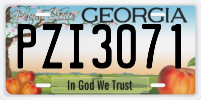 GA license plate PZI3071