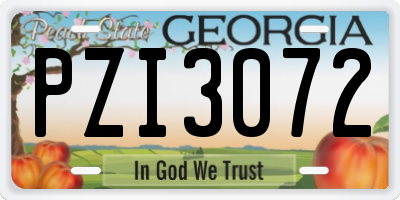 GA license plate PZI3072