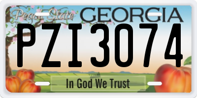 GA license plate PZI3074