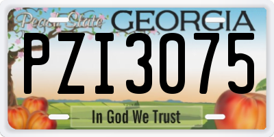 GA license plate PZI3075