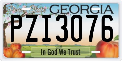 GA license plate PZI3076