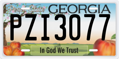GA license plate PZI3077