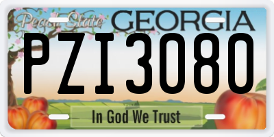 GA license plate PZI3080