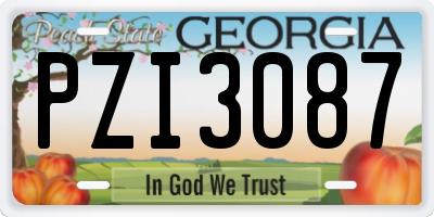 GA license plate PZI3087