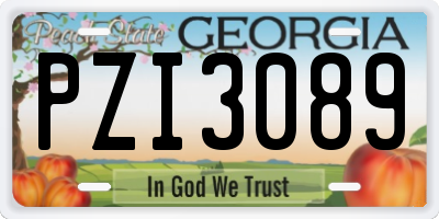 GA license plate PZI3089