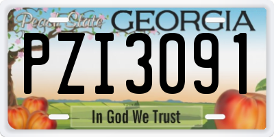 GA license plate PZI3091