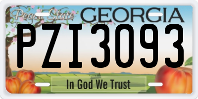 GA license plate PZI3093