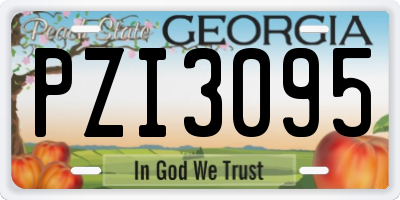 GA license plate PZI3095