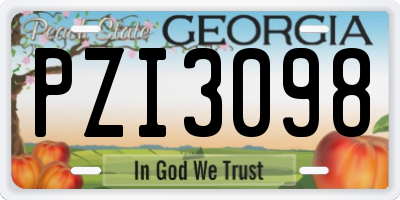 GA license plate PZI3098