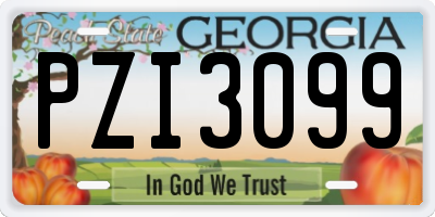 GA license plate PZI3099