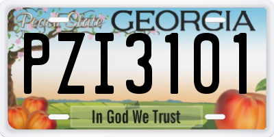 GA license plate PZI3101