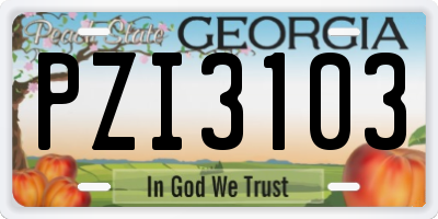 GA license plate PZI3103