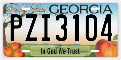 GA license plate PZI3104