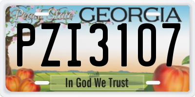 GA license plate PZI3107