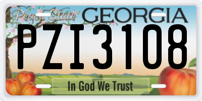 GA license plate PZI3108