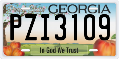 GA license plate PZI3109