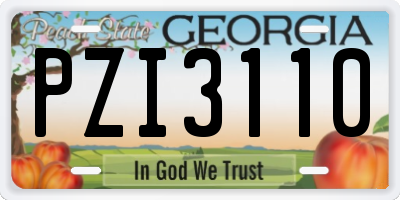 GA license plate PZI3110