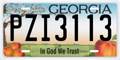GA license plate PZI3113