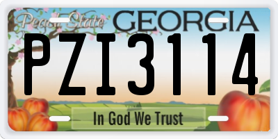 GA license plate PZI3114