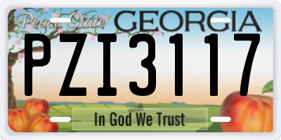 GA license plate PZI3117