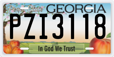 GA license plate PZI3118