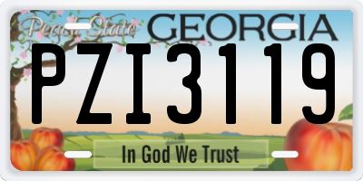 GA license plate PZI3119