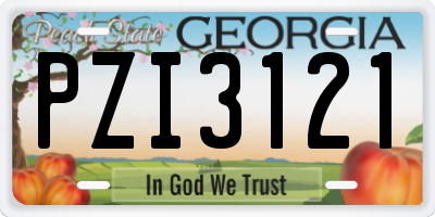 GA license plate PZI3121