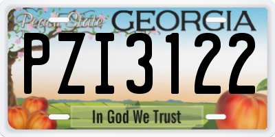 GA license plate PZI3122