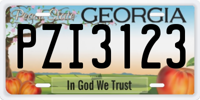 GA license plate PZI3123