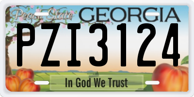 GA license plate PZI3124