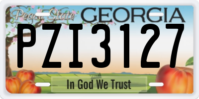 GA license plate PZI3127
