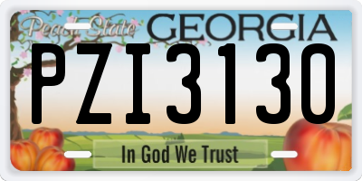 GA license plate PZI3130