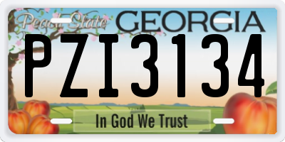 GA license plate PZI3134