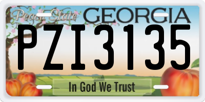 GA license plate PZI3135