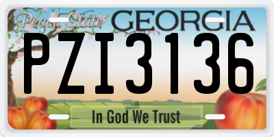 GA license plate PZI3136