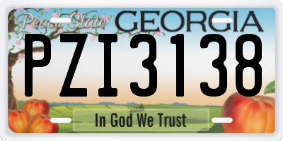 GA license plate PZI3138