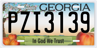 GA license plate PZI3139
